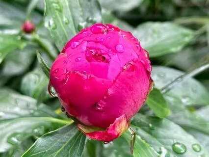 In The Kindness Poem For Grief And Loss