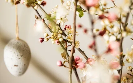 In the Kitchen Witch's Garden: Ostara/Spring Equinox