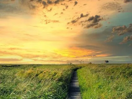 In The Mist Inner Child Poem And Sit