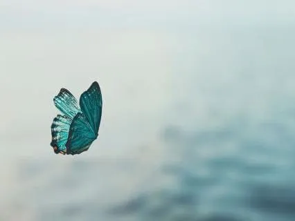 In The Moment (Piano Relaxation)