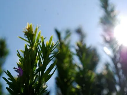 In The Moment: Soothing Anxiety