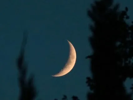 In The Moonlight
