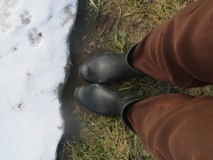 In The Process Of Change