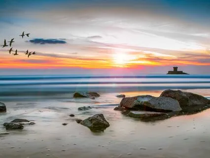 In The Shadow Of The Morning