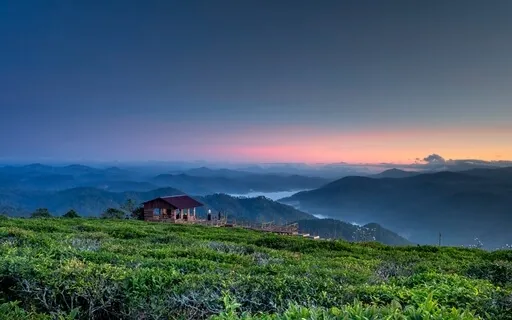 In The Spirit Of Giving