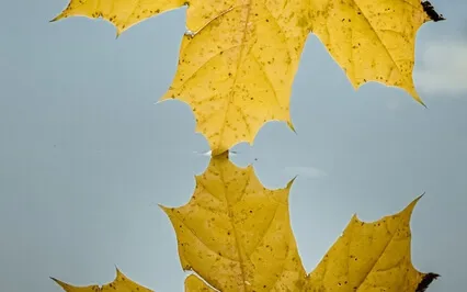 In The Stillness Of Your Depth