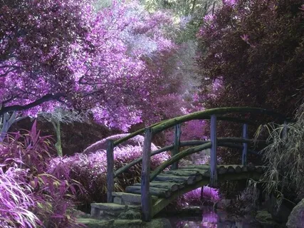 In The Unknown I Am Free - Contemplative Prose 