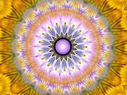 Pristine Recharge | Music Pause