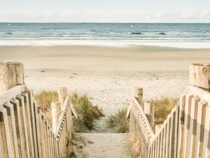 In The Zone: 10 Hz Alpha Waves For Learning & Focus