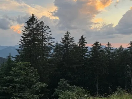 In This Moment - A Grounding Meditation For Anxiety & Panic