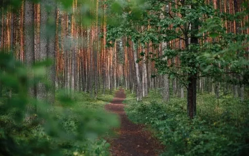 In This Moment - What Is Mine To Do?