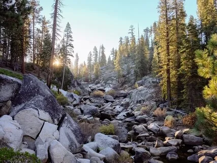 In Times Of Great Stress