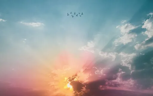 In To The Light (Guitar)