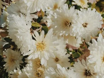 In Your Arms - Jazz Meditation