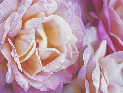 In Your Love (Healing Song)