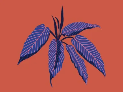 Incey Wincey Spider (Music Box Lullaby)