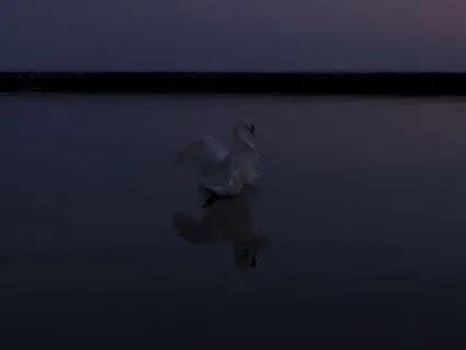 Inchoate . Hunger Moon