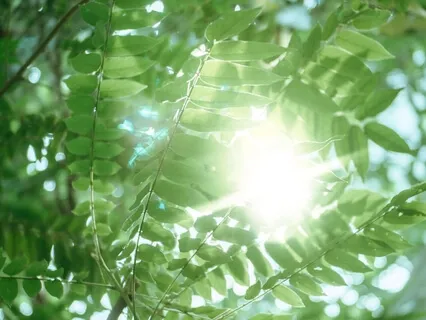 Inclining Awareness To Light, Ease And Support Within