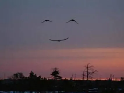 Inclusiveness Meditation: Growing Our Hearts