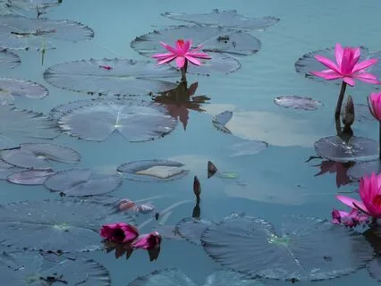 Increase Abundance With Gratitude For All That You Have