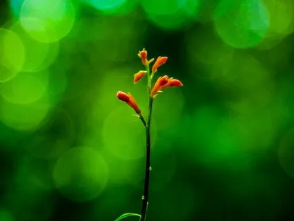 Increase Brain Focus Background Music