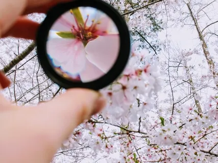 Increase Focus And Concentration 