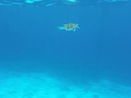 Increase Focus & Mental Clarity Music