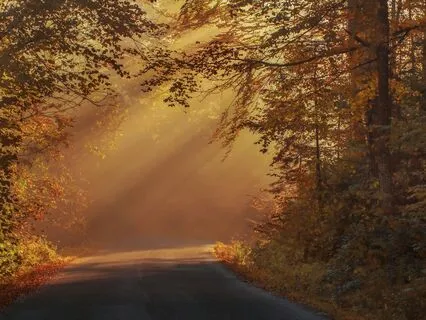 Increase Happy Thoughts – Your Morning Practice