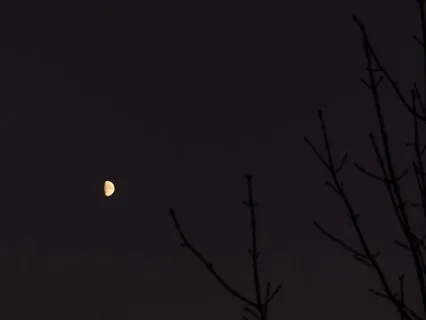 Increase Melatonin Release