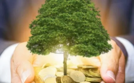 Increase Wealth & Abundance - Visualization