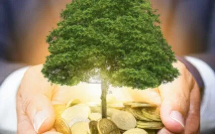 Increase Wealth & Abundance 