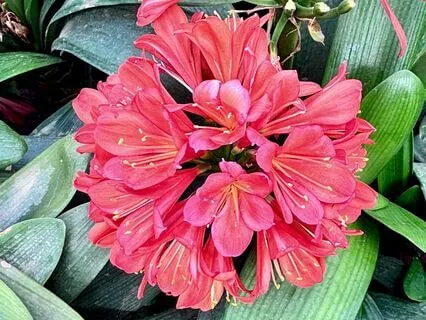 Increase Your Financial Thermostat Guided Visualization