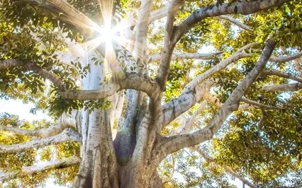 Increase Your Manifestation Power