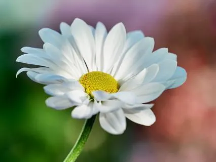 Increase Your Mindful Focus