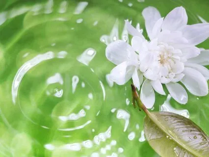 Increase Your Vitality: Meditation For Abundance Energy