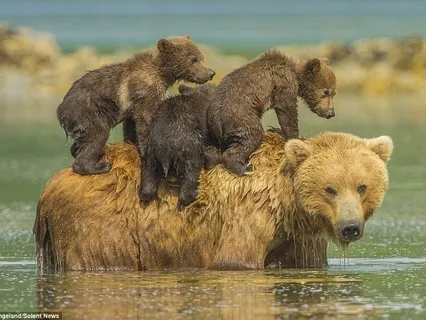 Increasing Self-Compassion