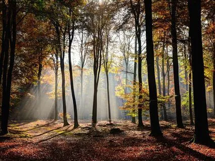 Increasing Your Wealth Money Meditation