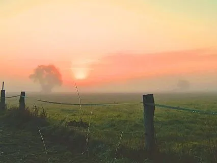 Indian Flute Meditation for Deep Inner Peace