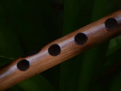 Indigenous Flute - Intuition And Relaxation