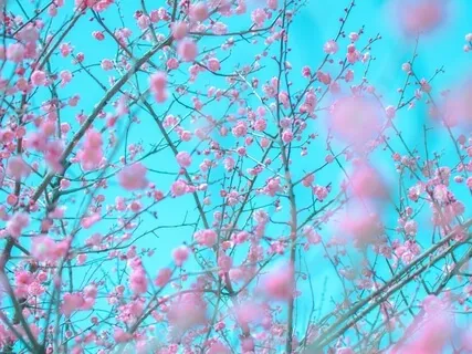 Indigo Sky - Harp & Voice - Bright Earth Song