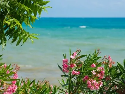 Indigo Sky Instrumental Jam - Jazzy Cosmic Harp