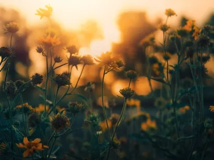 Individual Whole-Body Mystical Awakening