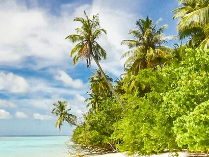 Indolence And Laziness Causes Failure In Meditation 