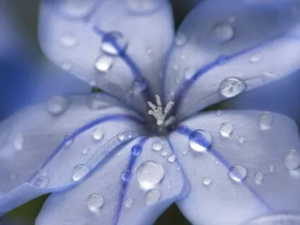 Indra's Grace: A Meditation On Strength And Vulnerability