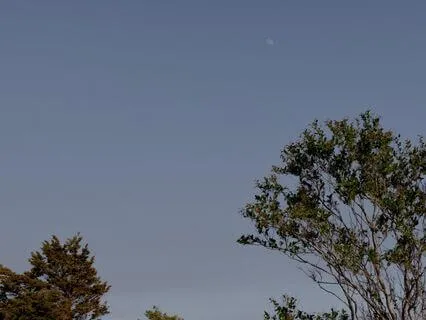 Inescapable Permission (Part 3)