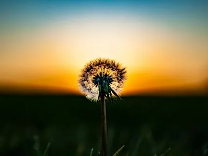 Infertility Meditation - Finding Hope In The Storm