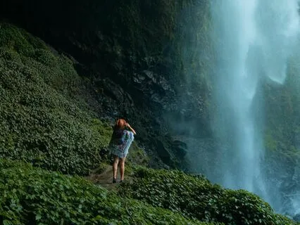 Infinita Floresta, Sacred Soundscape Of The Amazon, Shamanic