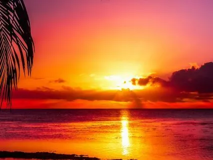 Infinite Abundance, Deep Healing & Deep Sleep