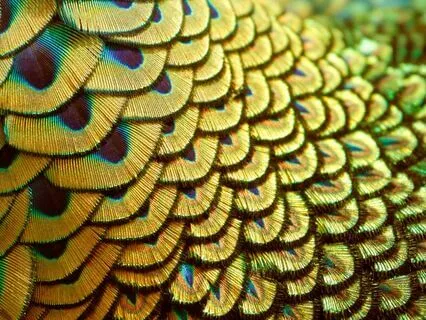 Infinite Abundance Guided Meditation