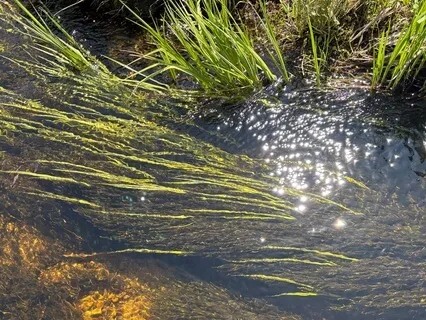 Infinite Gift (A Blessing)